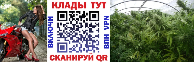Какие есть наркотики Чёрмоз Кокаин  Метадон  ГАШ  АМФЕТАМИН  Меф  Альфа ПВП 