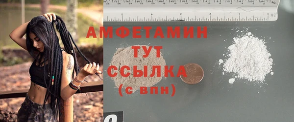 ПСИЛОЦИБИНОВЫЕ ГРИБЫ Горняк
