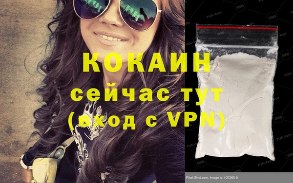 прущие грибы Горнозаводск
