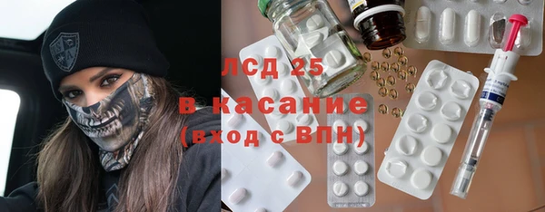 ПСИЛОЦИБИНОВЫЕ ГРИБЫ Горняк