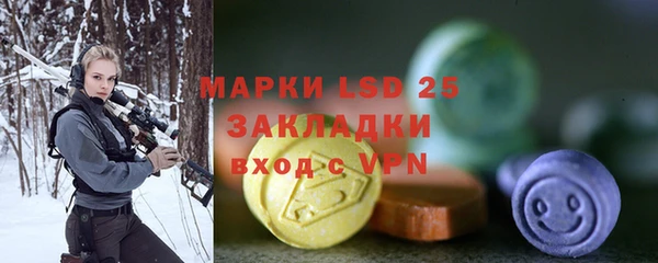 ПСИЛОЦИБИНОВЫЕ ГРИБЫ Горняк