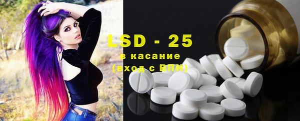 ПСИЛОЦИБИНОВЫЕ ГРИБЫ Горняк