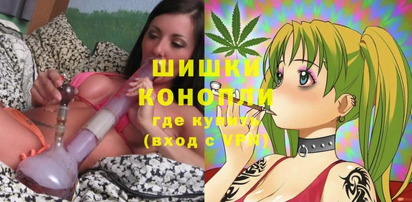 прущие грибы Горнозаводск