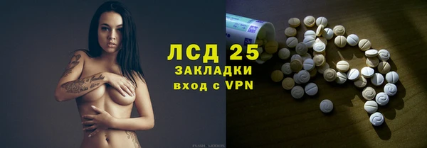 прущие грибы Горнозаводск