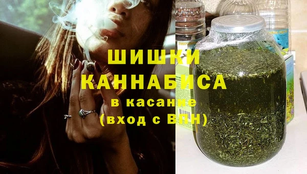 ПСИЛОЦИБИНОВЫЕ ГРИБЫ Горняк