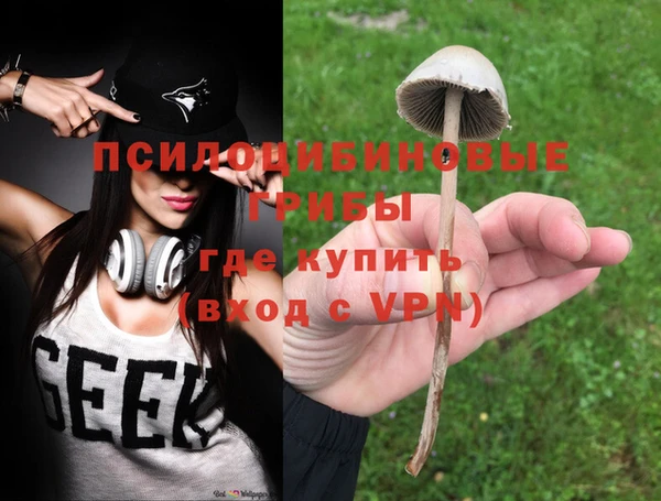 ПСИЛОЦИБИНОВЫЕ ГРИБЫ Горняк
