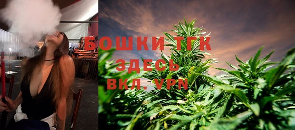 ПСИЛОЦИБИНОВЫЕ ГРИБЫ Горняк