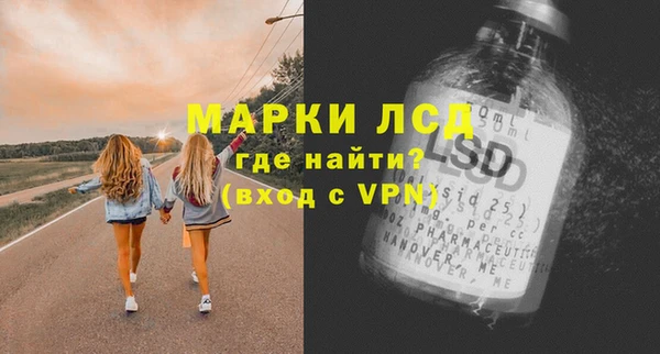 ПСИЛОЦИБИНОВЫЕ ГРИБЫ Горняк