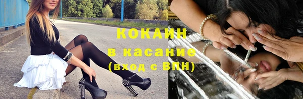 прущие грибы Горнозаводск