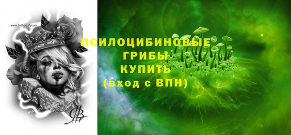 ПСИЛОЦИБИНОВЫЕ ГРИБЫ Горняк