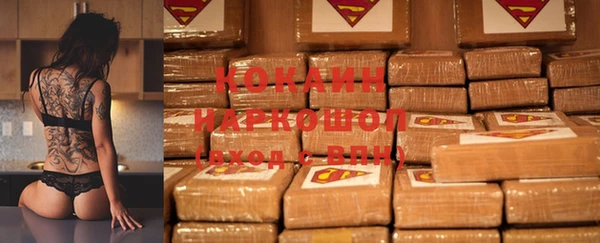 прущие грибы Горнозаводск