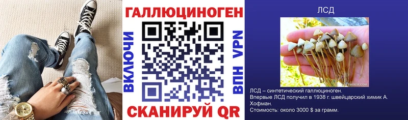Псилоцибиновые грибы прущие грибы  как найти   Чёрмоз 